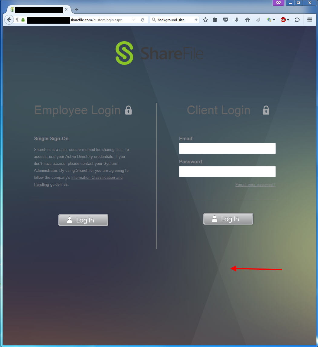sharefile-image-stretched