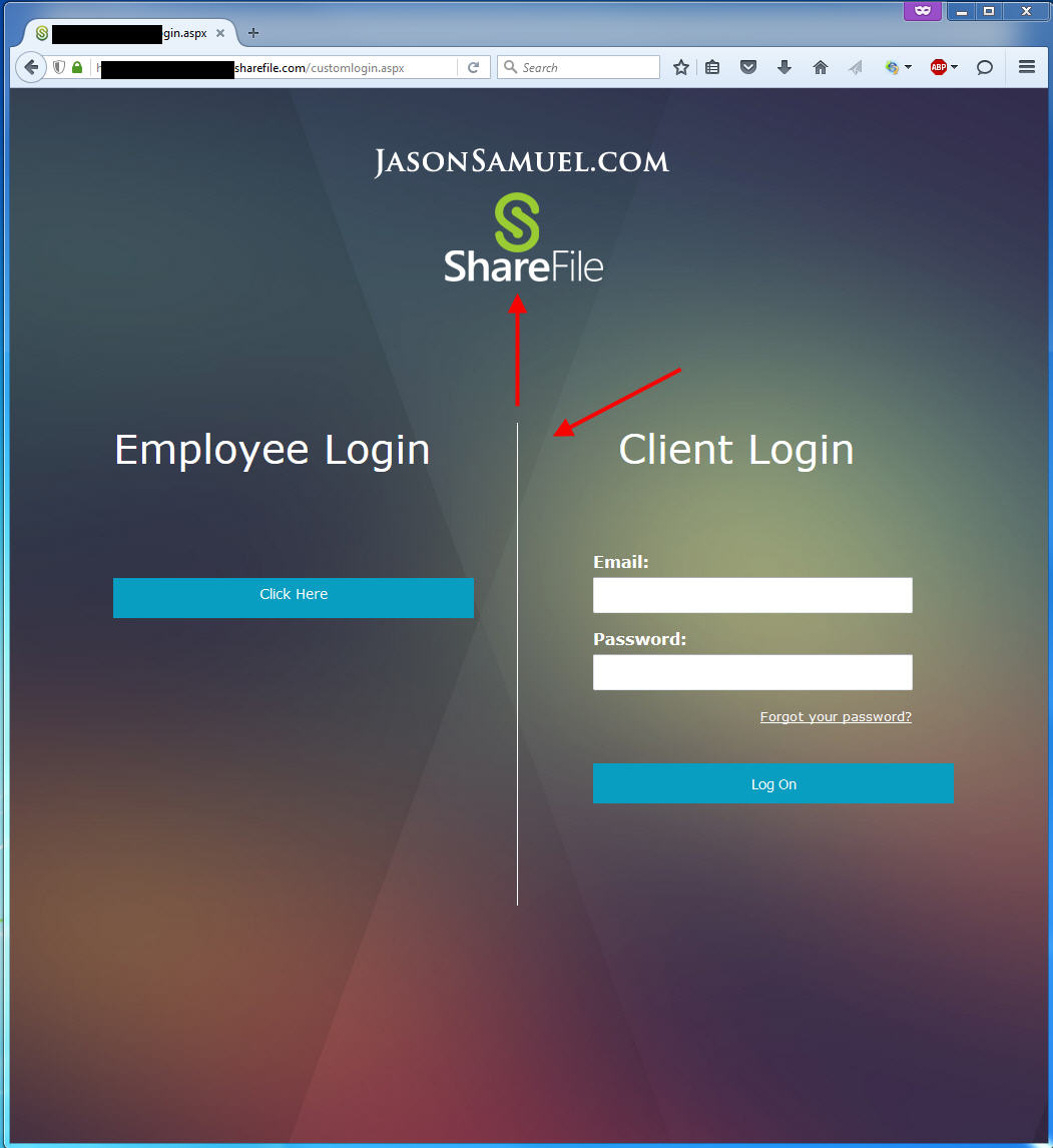 sharefile-split-login-custom-logo-centered